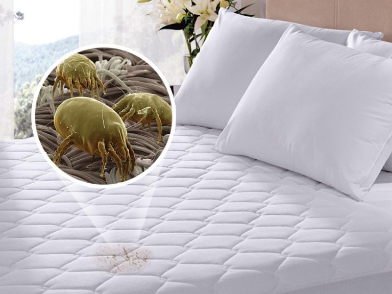 TRATAMENTOS ANTI-ÁCAROS ANTI-BACTERIANO ANTI PULGA ANTI-FOGO